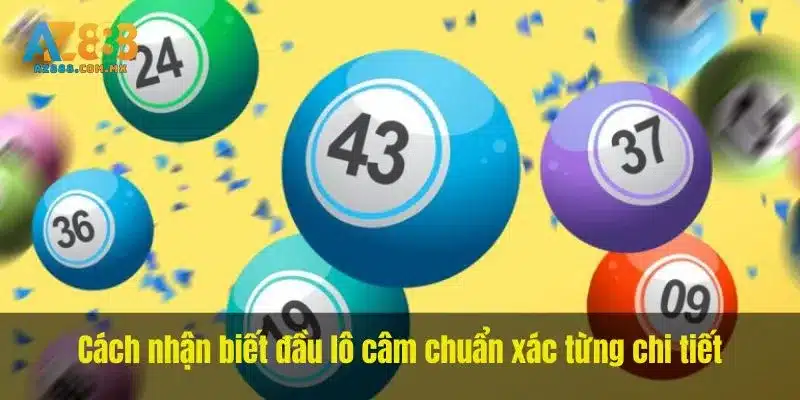 Ngày, Đài Và Cách Kiểm Tra Đầu Số