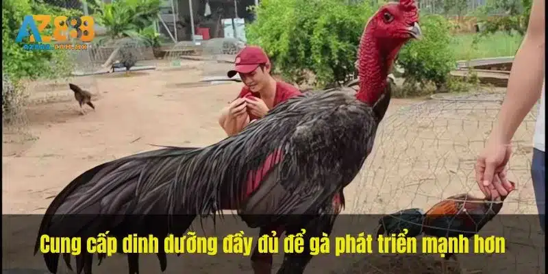 Khẩu Phần Theo Tuổi Và Nước Uống