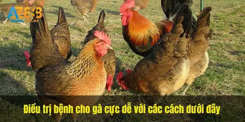 Hồ Sơ Điều Trị Và Vệ Sinh Dụng Cụ