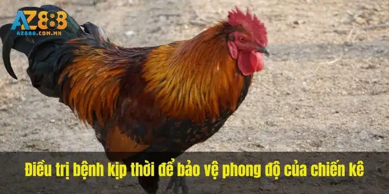 Tổn Thương Đường Ruột Và Tình Trạng Cơ Thể