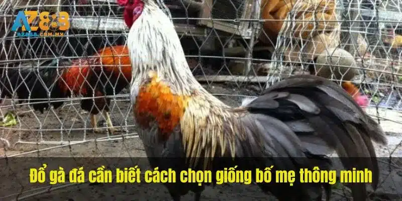 Hồ Sơ Nguồn Giống Và Sức Khỏe Bố Mẹ