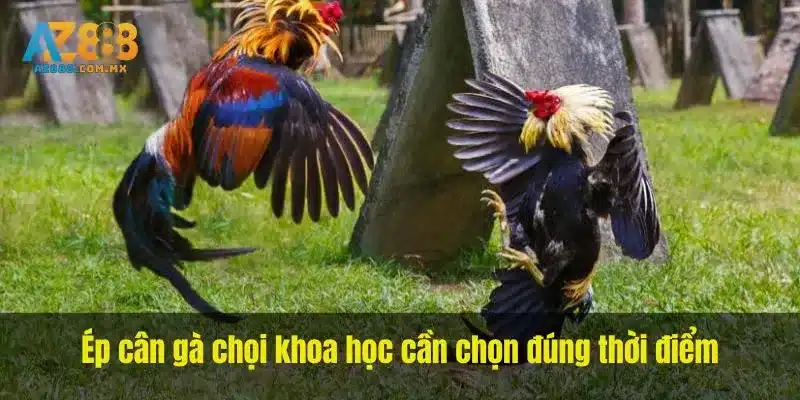 Các Lần Cân Và Tình Trạng Cơ Thể