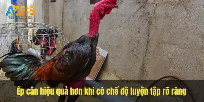 Hoạt Động Thường Ngày Và Dấu Hiệu Cần Dừng