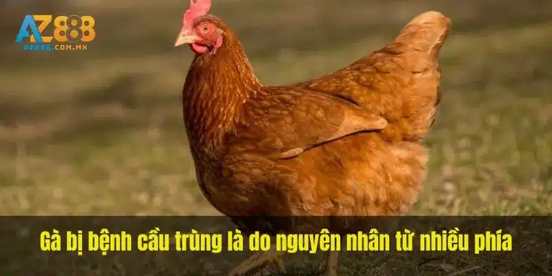 Đường Lây Và Điều Kiện Nuôi Cần Kiểm Tra