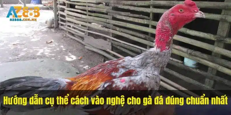 Vùng Da Và Phản Ứng Khi Chăm Sóc