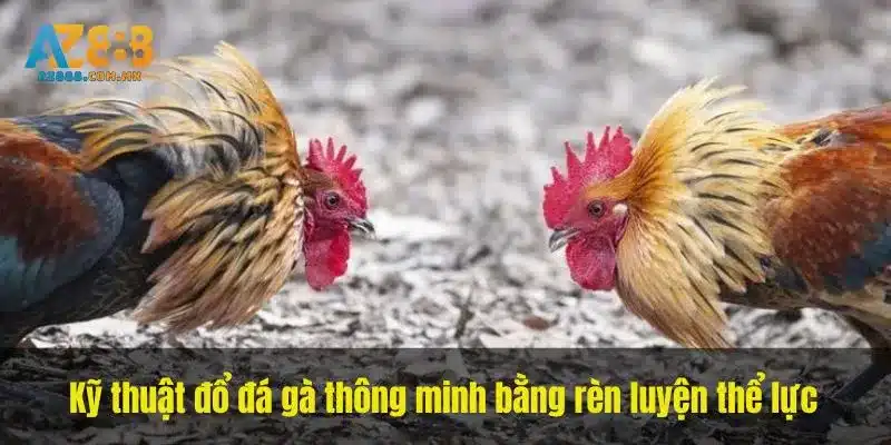 Theo Dõi Sức Khỏe Đàn Con