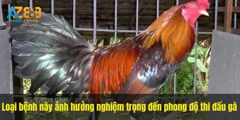 Theo Dõi Sức Khỏe Và Chẩn Đoán Phân Biệt