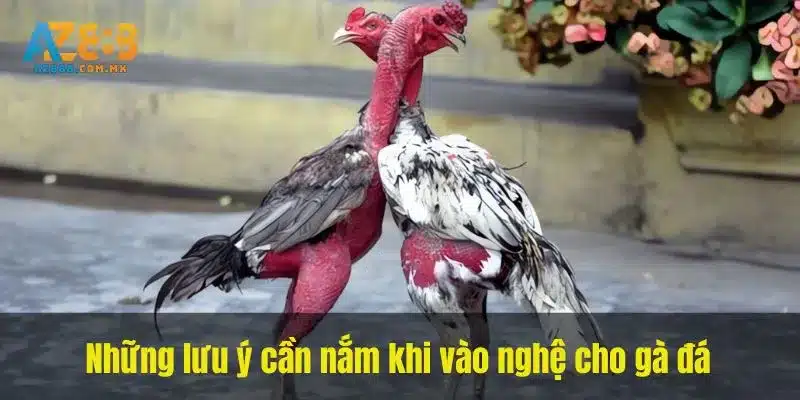 Theo Dõi Sau Khi Dùng Ngoài Da
