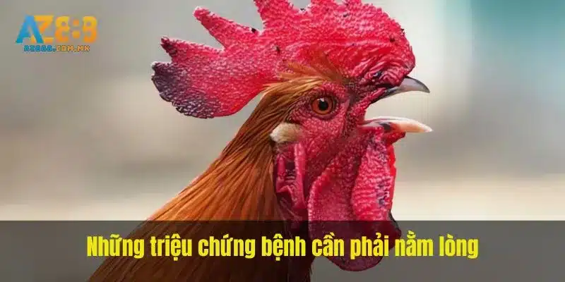 Dấu Hiệu Ăn Uống Và Hoạt Động Cần Ghi Nhận