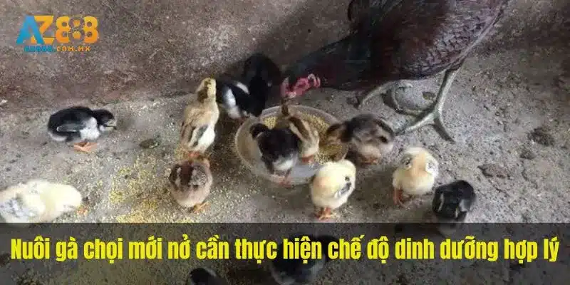 Thức Ăn Và Nước Uống Theo Tuổi
