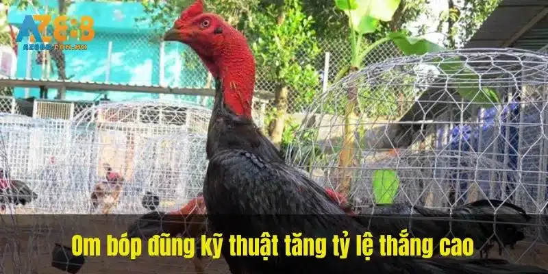 Theo Dõi Phản Ứng Và Điều Kiện Môi Trường