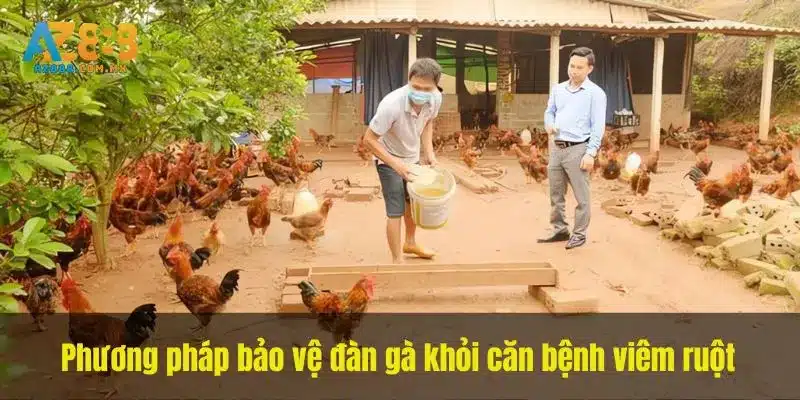 Khẩu Phần, Chương Trình Phòng Bệnh Và Môi Trường