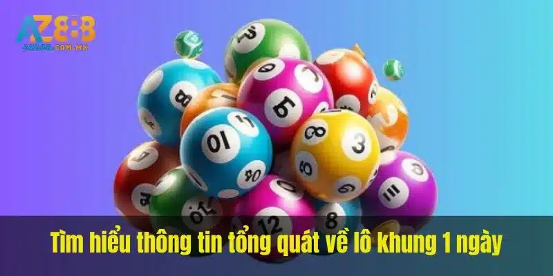 Ngày Áp Dụng Và Bộ Số Trong Khung
