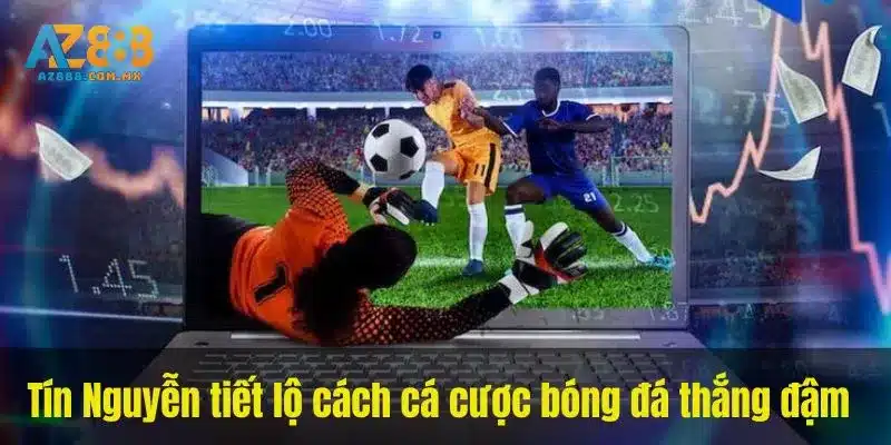 Thị Trường Thể Thao Và Giới Hạn Nhận Định