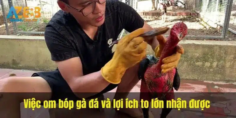 Thành Phần Được Nhắc Trong Om Bóp